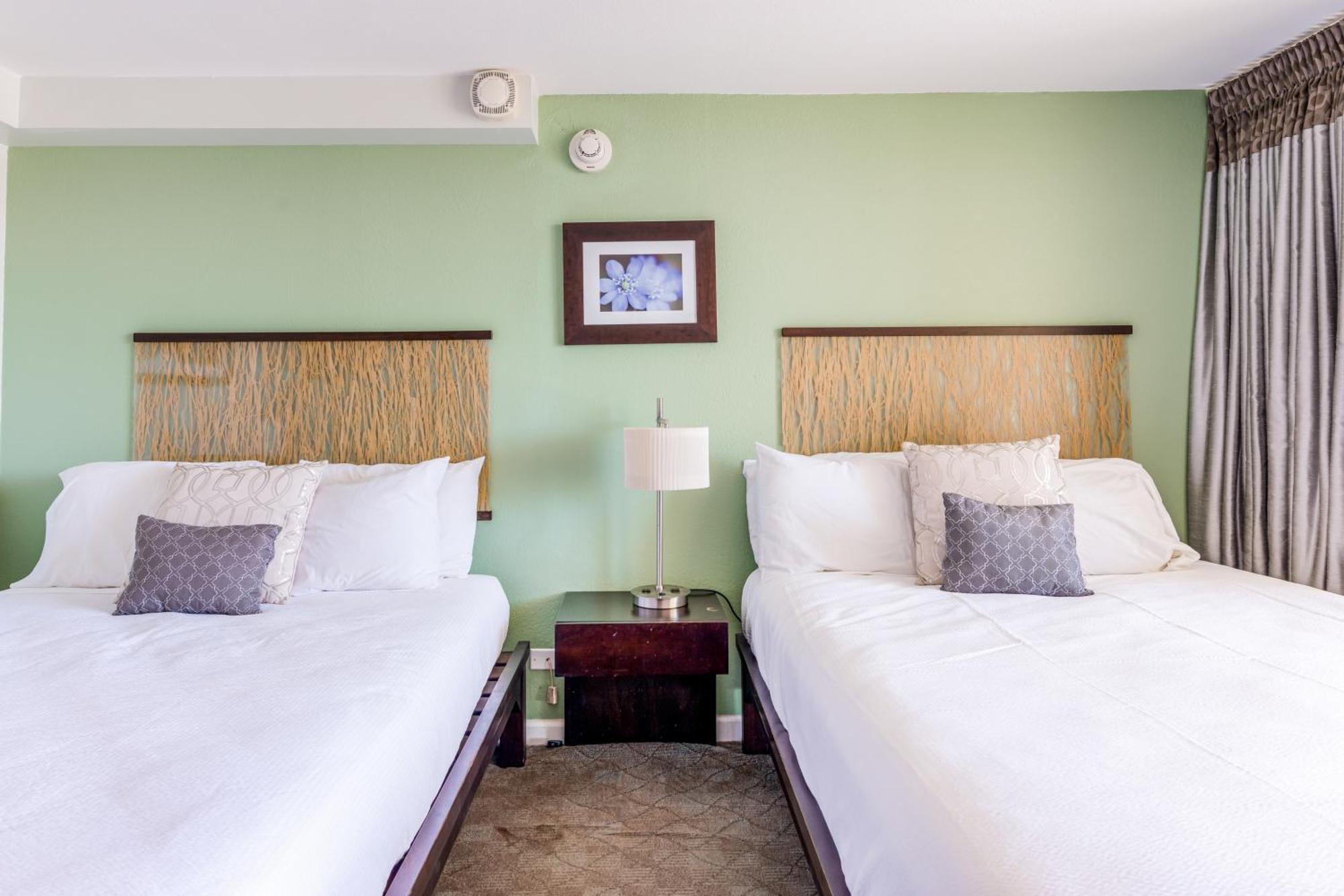 Island Colony Suites Honolulu Rom bilde